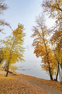 秋天，乌克兰基辅的奥博隆区，第聂伯河岸边的枫树和白杨树。
