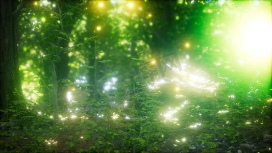 萤火虫在绿色的森林里飞翔。林中飞来的萤火虫