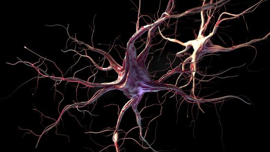 受体摄影照片_3D显示了神经细胞。神经元和神经系统