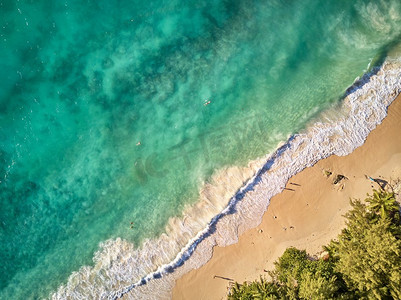 美丽的海滩棕榈树空中俯视图无人机拍摄塞舌尔，马埃岛