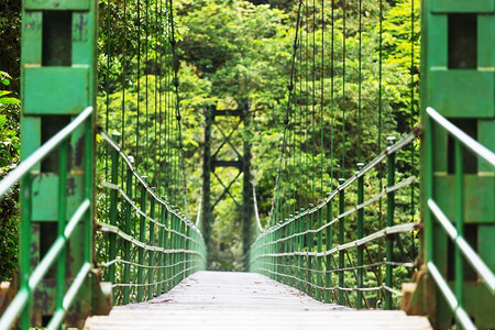 中美洲哥斯达黎加绿色丛林中的汉丁桥