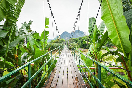 木吊桥过河到热带森林香蕉叶植物 