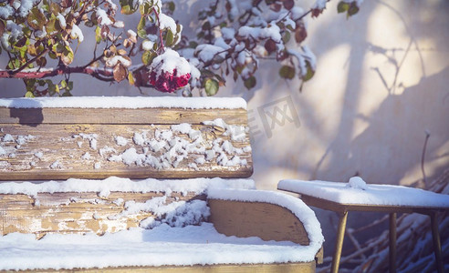 长凳与雪在冬季花园