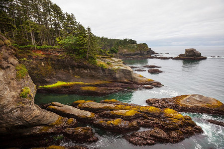 美国华盛顿奥林匹克国家公园风景秀丽的太平洋海岸.海洋自然/人文景观