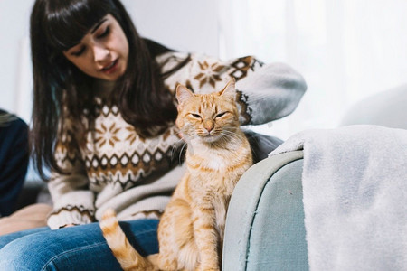 女人爱抚姜猫