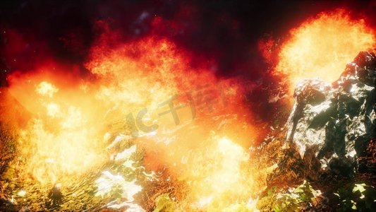 燃烧的森林摄影照片_森林大火时吹在燃烧的树木上的风