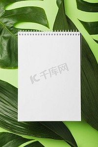 白色绿色树叶摄影照片_空白螺旋记事本绿色树叶背景