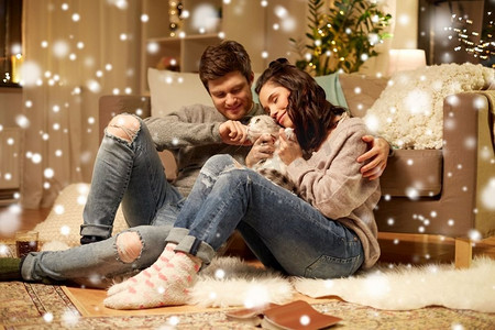 淘宝天猫字体摄影照片_宠物，圣诞节和人们的概念幸福的夫妇在家里的猫在雪地上。家里养着猫的幸福夫妻