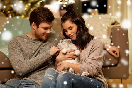 天猫斜角图标摄影照片_宠物，圣诞节和人的概念—快乐的夫妇与猫在家里超过雪。快乐的夫妇与猫在家里