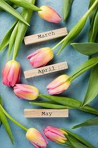 矢量海报装饰摄影照片_盛开的郁金香，贴着春天的标签