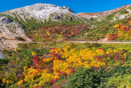 秋天秋天树叶在万代的山Azuma地平线在万代山在福岛东北日本