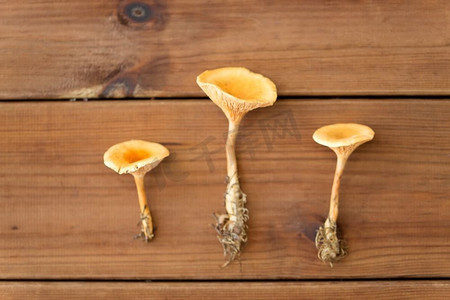 自然、环境和食用蘑菇概念—在木背景的鸡冠菌。chanterles在木背景
