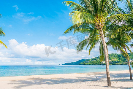 椰子树与美丽的热带海滩和海