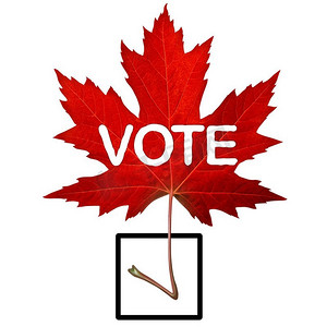 加拿大投票象征和加拿大选举概念与红色枫叶形状作为一个检查标记在3D例证样式。