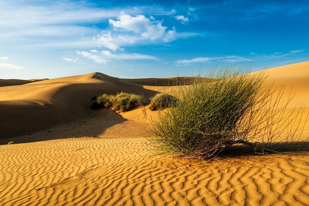 萨姆塔尔沙漠的沙丘在美丽的天空下。印度拉贾斯坦邦。沙漠中的沙丘