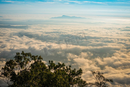 令人惊叹的早晨日出在薄雾的风景五颜六色的雾森林视图在山顶山和树前景