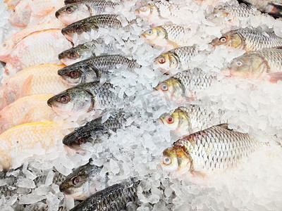 市场海鲜餐厅出售新鲜银鱼，冰上生鲤鱼