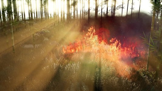 森林大火中吹在燃烧的竹树上的风