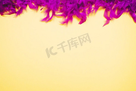 顶部紫色羽毛边界黄色背景与复制空间写作文本