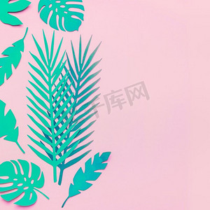 霓虹夏天摄影照片_在粉红色背景，平躺的绿松石绿色热带叶子。复制空间。热带纸叶