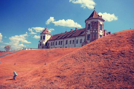 游客在白俄罗斯观看城堡