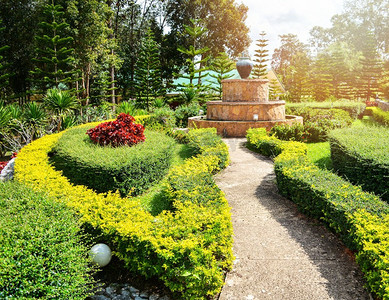 美丽的花园步道，植物点缀，喷泉春夏公园