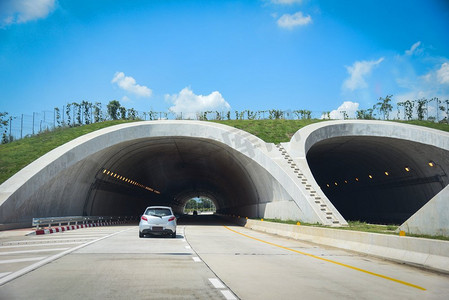 山与海的碰撞摄影照片_野生动物交叉在高速公路在森林道路隧道交通汽车速度在街道/桥梁动物在高速公路 