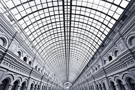 窗户上白色花瓶里的蒲公英建筑工业园区