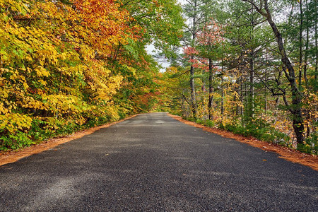 秋天的风景与道路在白山国家森林，新罕布什尔州，美国.秋天在新英格兰。 