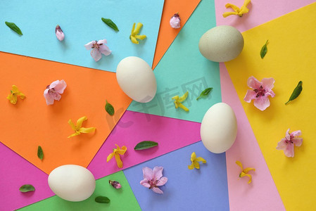 彩色纸上未画的鸡蛋和春花