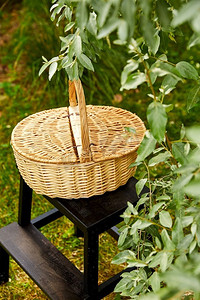 休闲和物件概念-夏季花园凳子上的野餐篮特写。花园凳子上野餐篮的特写