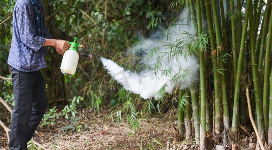 男子持雾灭蚊以防止在竹林传播登革热和寨卡病毒