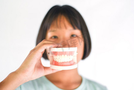 牙齿健康和儿童刷牙概念/亚洲女孩持有假牙，假牙研究 