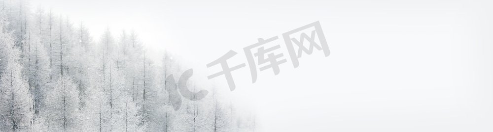 冬天风景与雪覆盖的树木的山林。冬季景观与森林