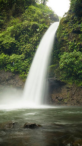 瀑布美丽的哥斯达黎加雨林