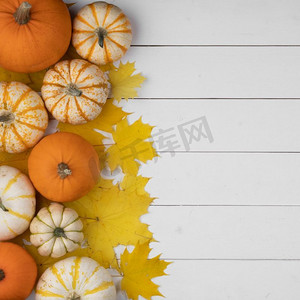 许多五颜六色的南瓜和枫叶框在木质背景上，秋收，万圣节或感恩节的概念。南瓜和枫叶
