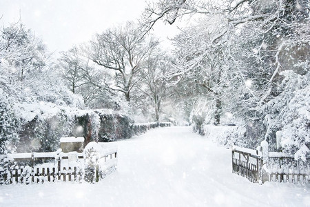 雪冬天风景农村场景与英国农村在大雪风暴