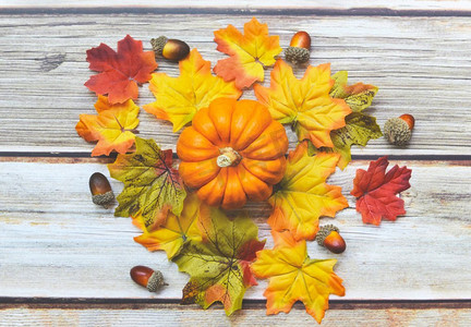 感恩节背景框架秋天叶子装饰节日在木/秋天桌子设置与南瓜假日 