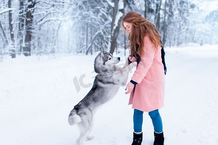 美女养着顽皮的哈士奇狗，背景是白雪覆盖的森林。可爱的女孩和迷人的宠物一起狂欢。漂亮女人养着顽皮的哈士奇狗