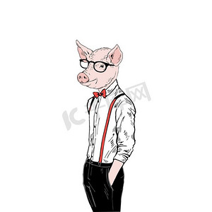 动画动物动画摄影照片_猪人装扮高雅，拟人化的动物插图。动物装扮，拟人化的动物插图