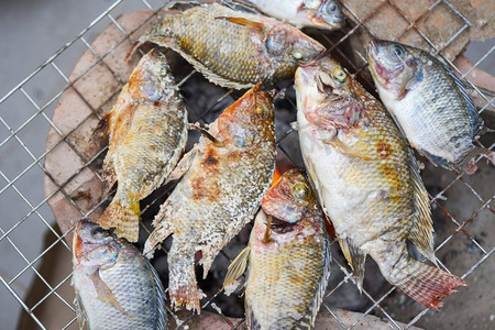 罗非鱼煲摄影照片_烤鱼放在烤架上，罗非鱼用盐烤鱼烧泰国菜