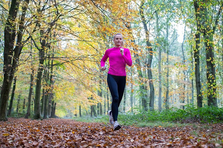 清晨在林地跑步的女人通过锻炼保持身体健康