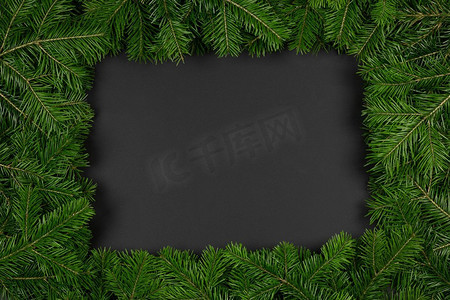 松树圣诞树分支在黑色纸背景平奠定顶视图模型。松枝黑纸