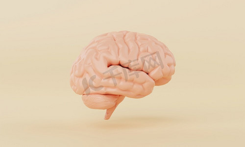 大脑摄影照片_橙色简单的头脑大脑模型在黄色背景。医学保健与抽象对象概念。3D插图渲染