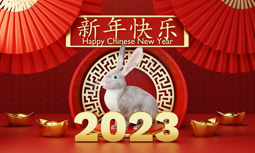  中国人，兔子，2023，快乐