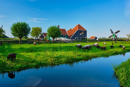  village，荷兰，Zaanse，Schans