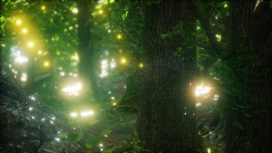 萤火虫夏天摄影照片_萤火虫在绿色的森林里飞翔。萤火虫在森林中飞翔