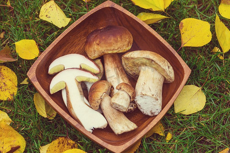秋季厨房里的食用蘑菇。