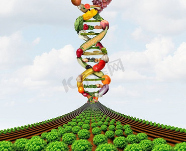 促销图通用主图摄影照片_转基因、转基因作物、杂交种