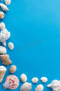 海洋生物和夏天概念—框架不同的海贝壳在蓝色背景。框架不同的海贝壳在蓝色背景
